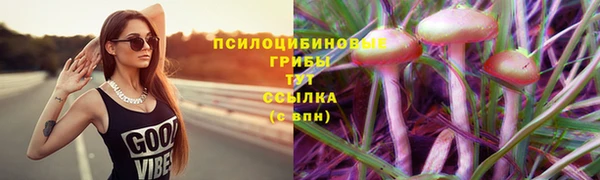 гашишное масло Инсар