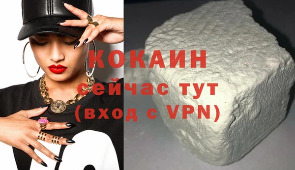 тгк Каменка