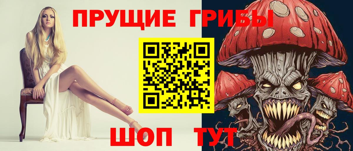 Камышлов  Псилоцибиновые грибы Cubensis  Вход с VPN  что такое наркотик  Псилоцибиновые грибы прущие грибы 